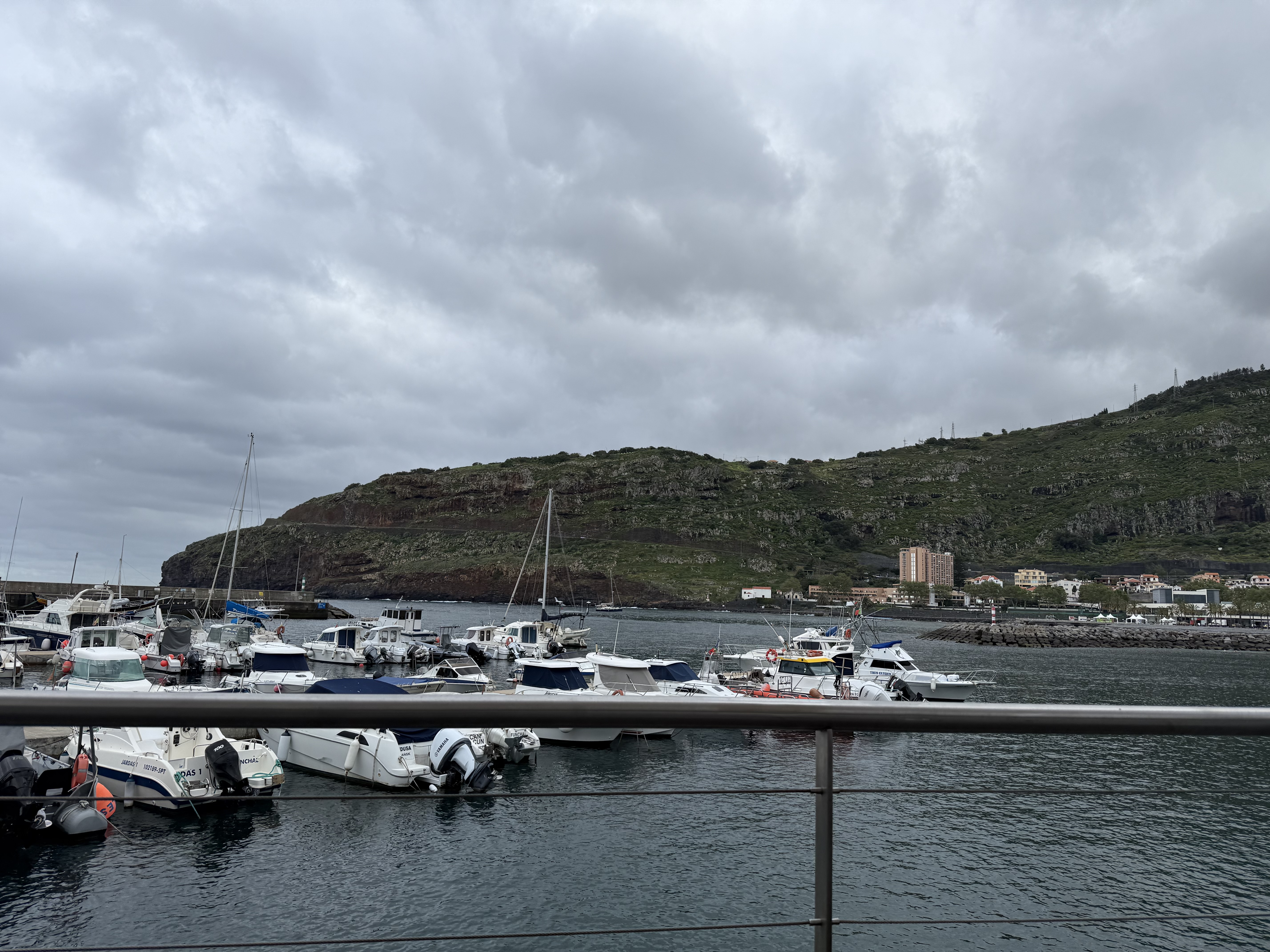 /images/IMG_4069.jpeg